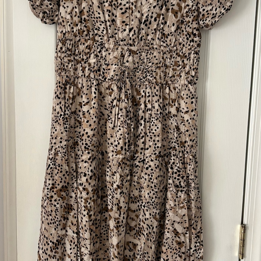 Universal Thread Leopard & Beige Dress